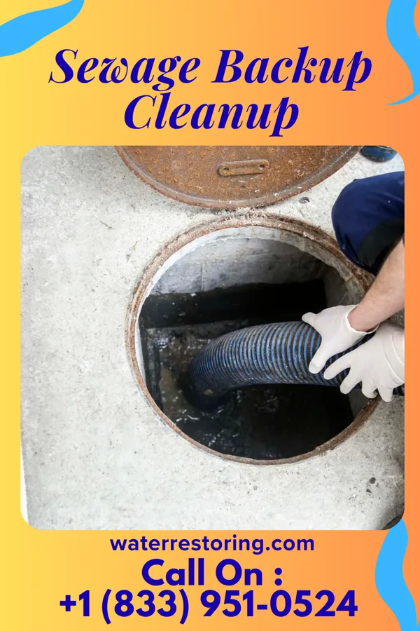 Sewage Backup Cleanup in Long Beach, NY