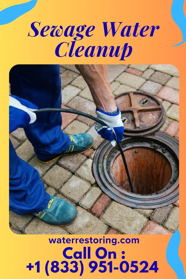 Sewage Water Cleanup in Long Beach, NY