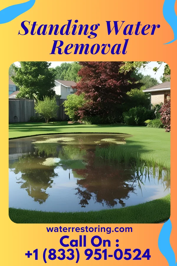 Standing Water Removal in Long Beach, NY